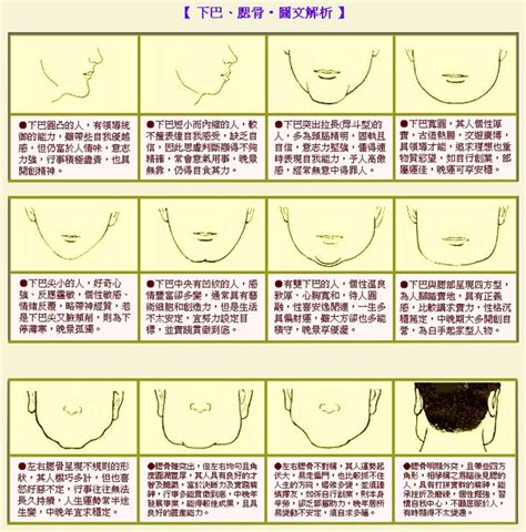 磁力線方向定義 下巴大 面相